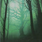 Scan Image | Forest - Unstable | [19AF9592]