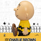 Beast Kingdom Piggy Bank Peanuts Series Palm Size Vinyl Functional Figurine Charlie Brown