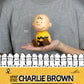 Beast Kingdom Piggy Bank Peanuts Series Palm Size Vinyl Functional Figurine Charlie Brown