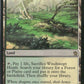 Scan Image | Windswept Heath - Khans of Tarkir | [56D368AB]