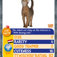 Cats Top Trumps