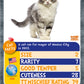 Cats Top Trumps