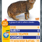 Cats Top Trumps