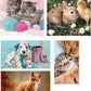 Clementoni 10 in 1 Puzzle  Animal Friends