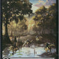 Scan Image | Swamp (Chocobo Track Foil) - Commander: FINAL FANTASY | [98AEEAD3]