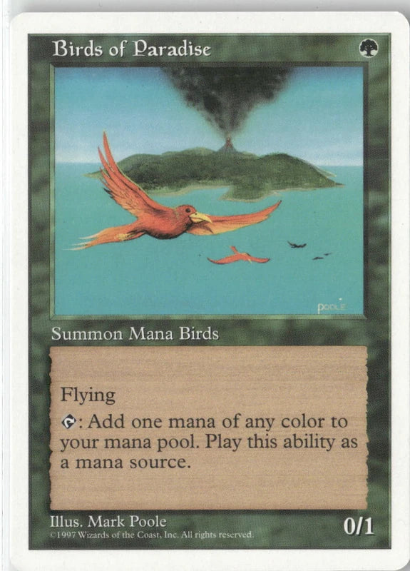 Scan Image | Birds of Paradise - Fifth Edition | [30628ABD]
