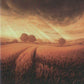Scan Image | Plains - Unstable | [474A8ABB]