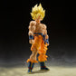 S.H.Figuarts SUPER SAIYAN SON GOKU -LEGENDARY SUPER SAIYAN-