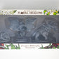 Dragon Botanist’s Miniatures Set