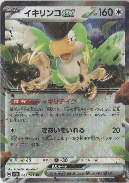 Squawkabilly ex - 065/071 - SV2P: Snow Hazard