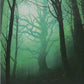 Scan Image | Forest - Unstable | [2C6EA750]