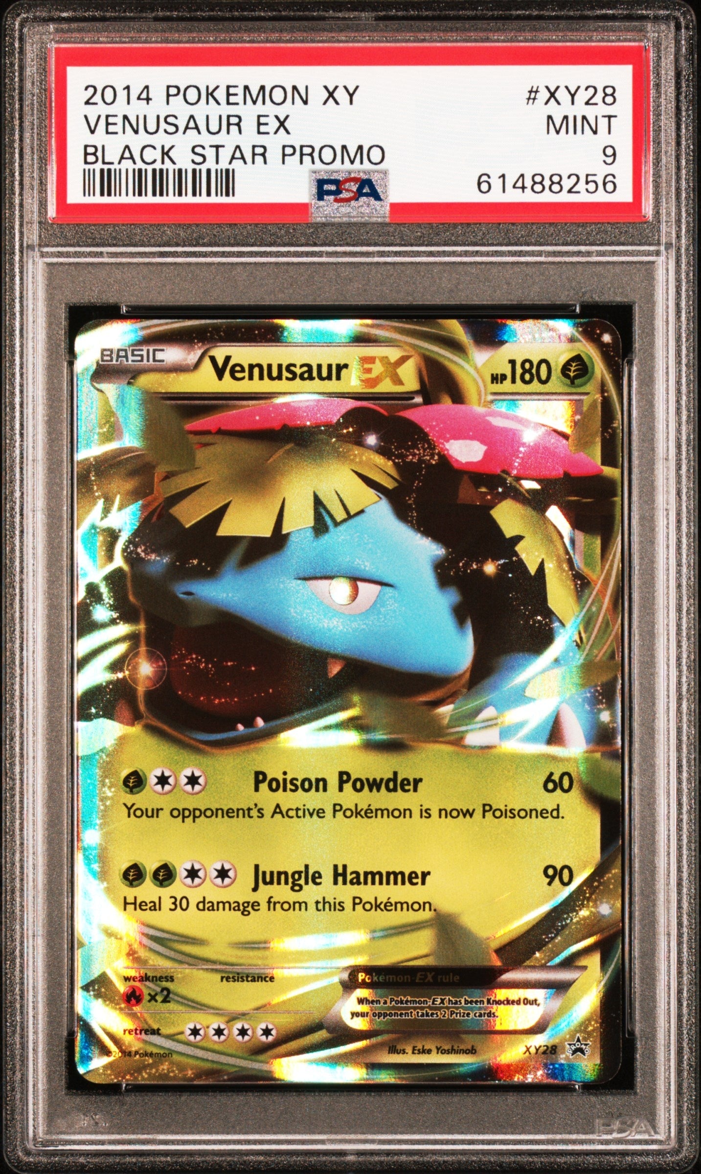 2014 Pokemon Xy Black Star Promo Xy28 Venusaur Ex