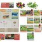 Earth - Animal Kingdom Expansion