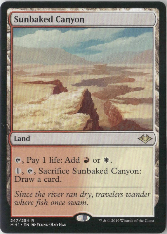 Scan Image | Sunbaked Canyon - Modern Horizons | [D8F7FE95]