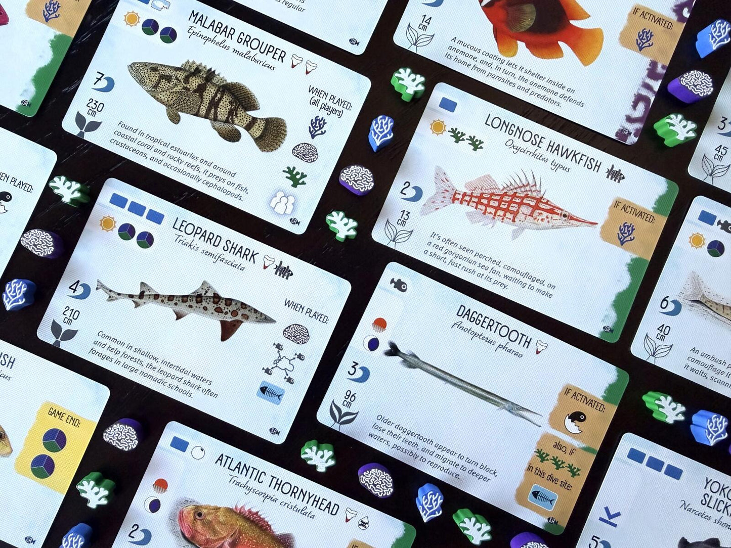 Finspan - Sharks & Reefs Expansion