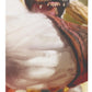 Gamegenic Magic The Gathering Secrets of Strixhaven Prime Playmat - Ajani's Response