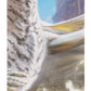 Gamegenic Magic The Gathering Secrets of Strixhaven Shiny Playmat - Silverquill, the Disputant
