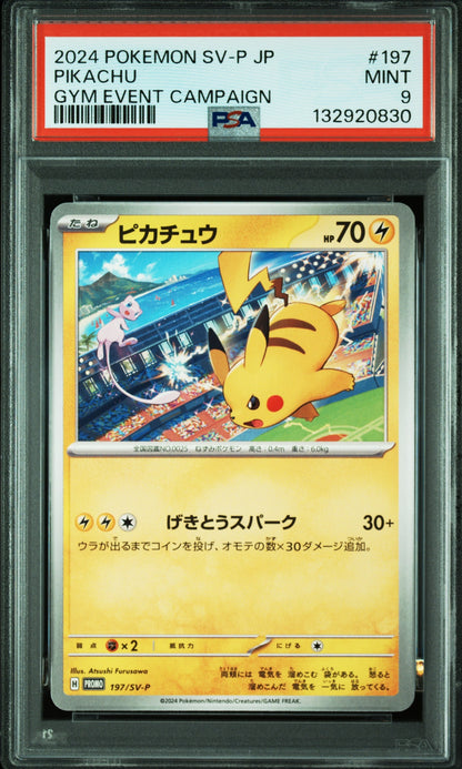 2024 Pokemon Japanese Sv-P Promo 197 Pikachu Gym Event Campaign - PSA 9