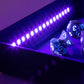 MGD Blacklight Dice Tray with d20 Black