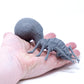Heckna!: Mini - Schnozling Familiar