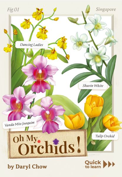 Origame: Oh My Orchids!