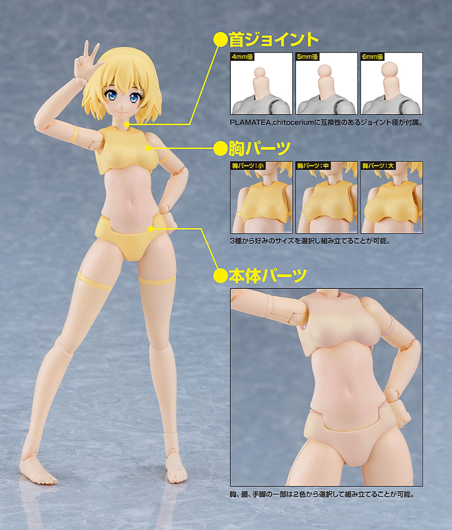 PLAMATEA Muse Body - Ichika B Type