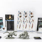 Primal - The Awakening Core Game