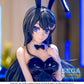Rascal Does Not Dream Series Yumemirize Mai Sakurajima Bunny