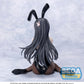 Rascal Does Not Dream Series Yumemirize Mai Sakurajima Bunny