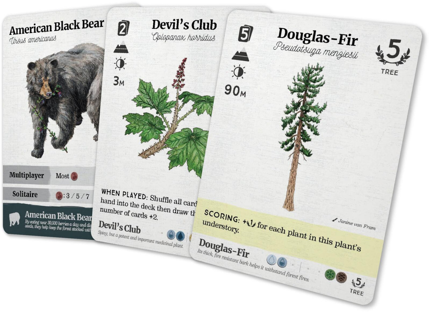 Reforest - Plants of the Pacific Northwest Coast