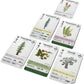 Reforest - Plants of the Pacific Northwest Coast