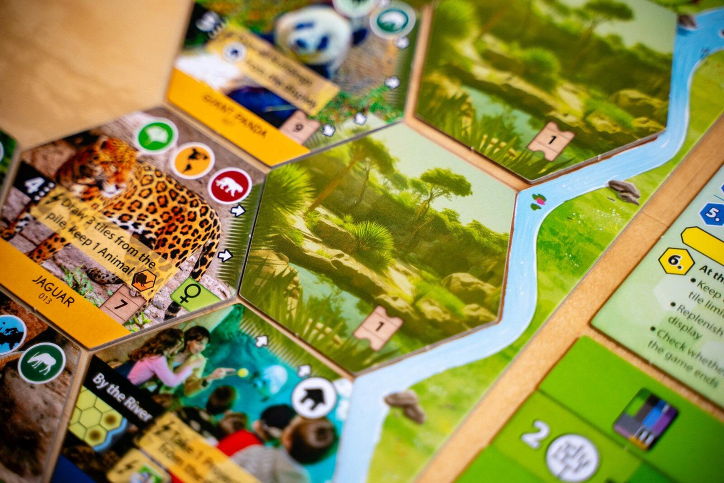 Sanctuary (an Ark Nova game)