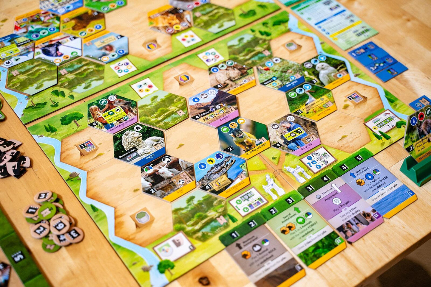 Sanctuary (an Ark Nova game)