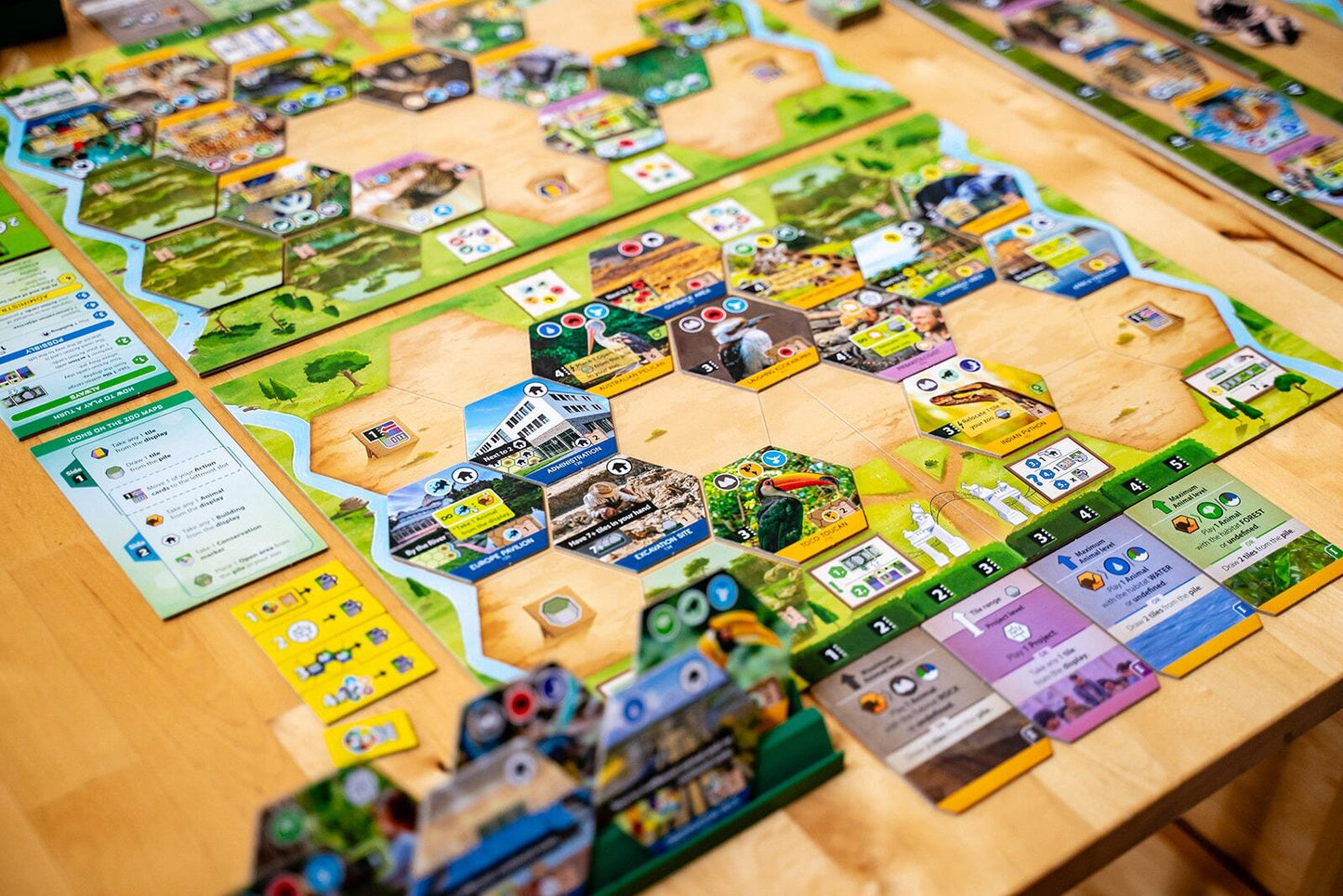 Sanctuary (an Ark Nova game)