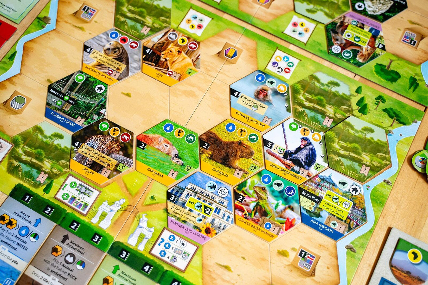 Sanctuary (an Ark Nova game)