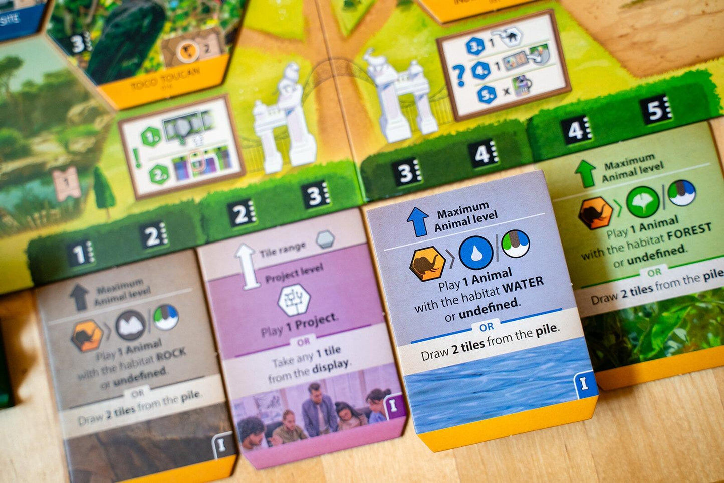 Sanctuary (an Ark Nova game)