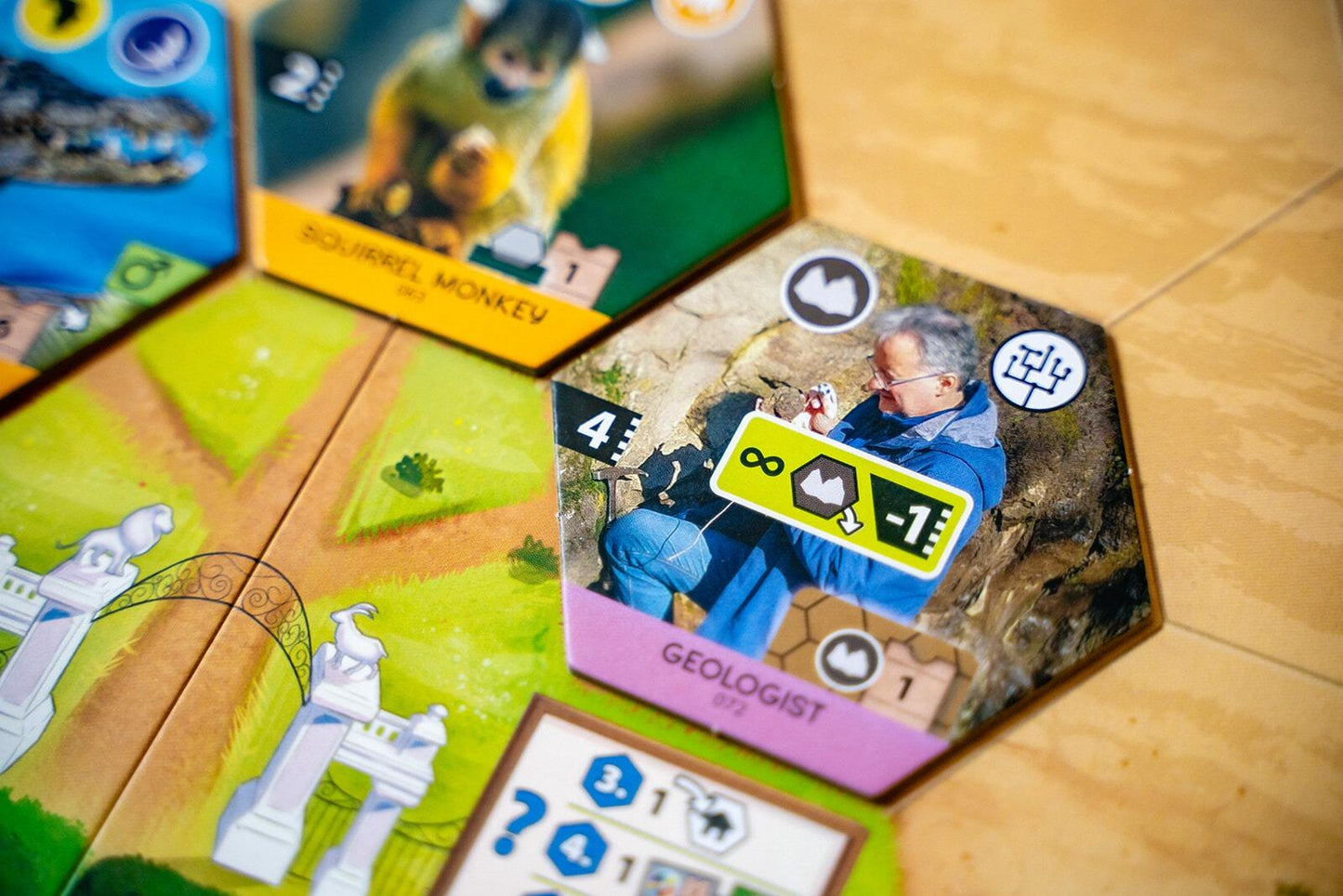 Sanctuary (an Ark Nova game)