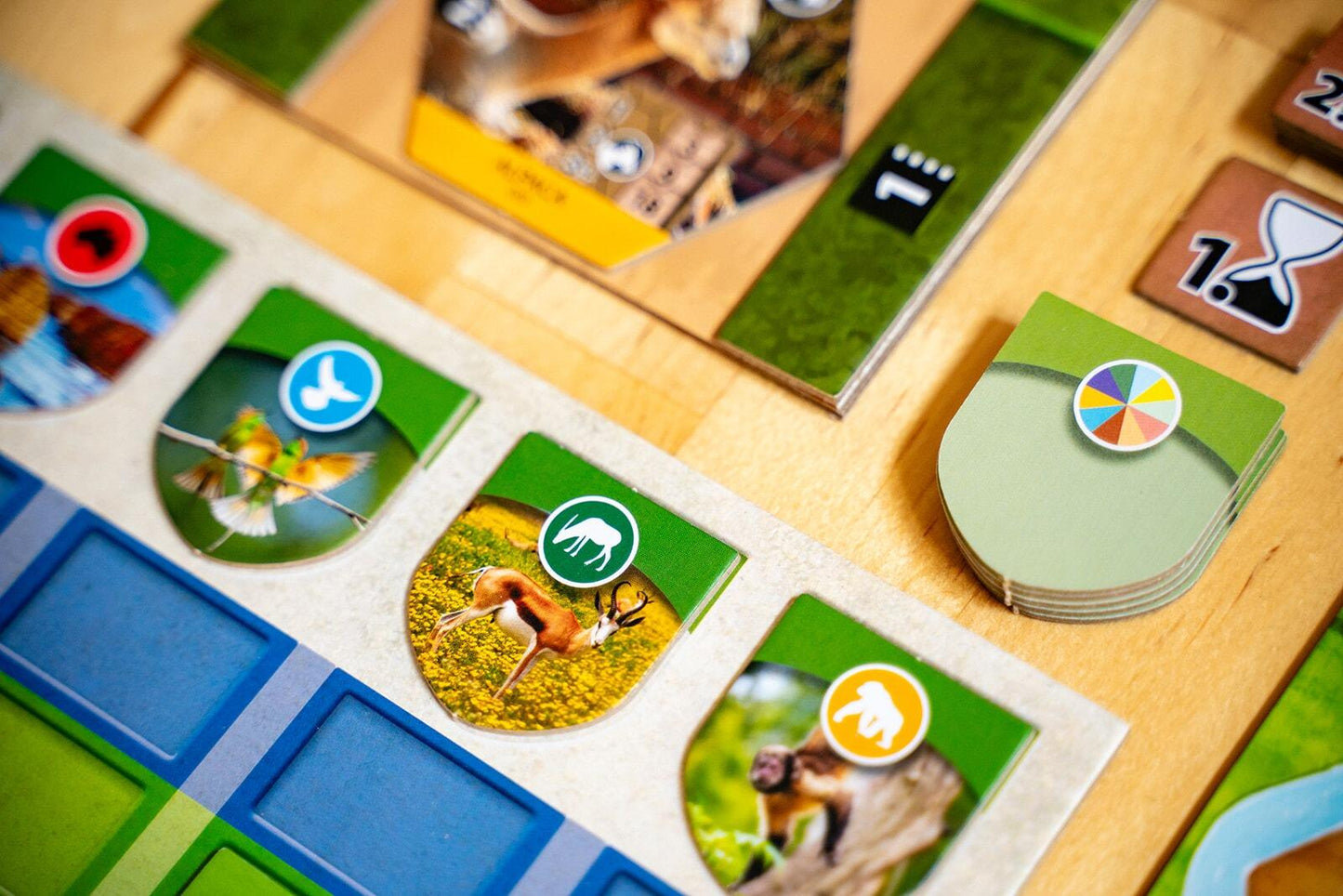 Sanctuary (an Ark Nova game)