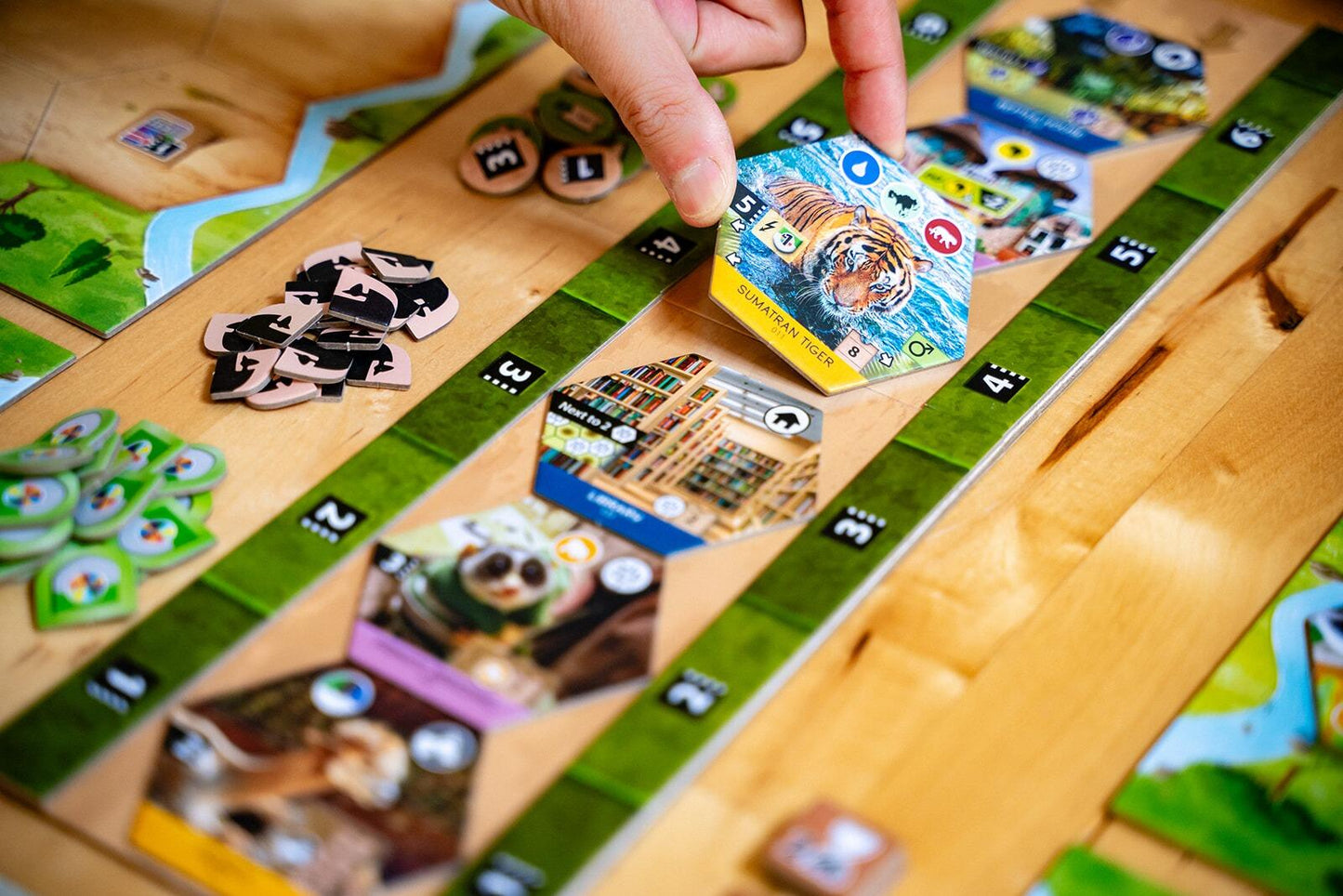 Sanctuary (an Ark Nova game)