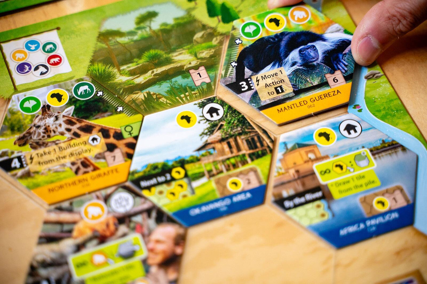 Sanctuary (an Ark Nova game)