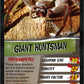 Spiders Top Trumps