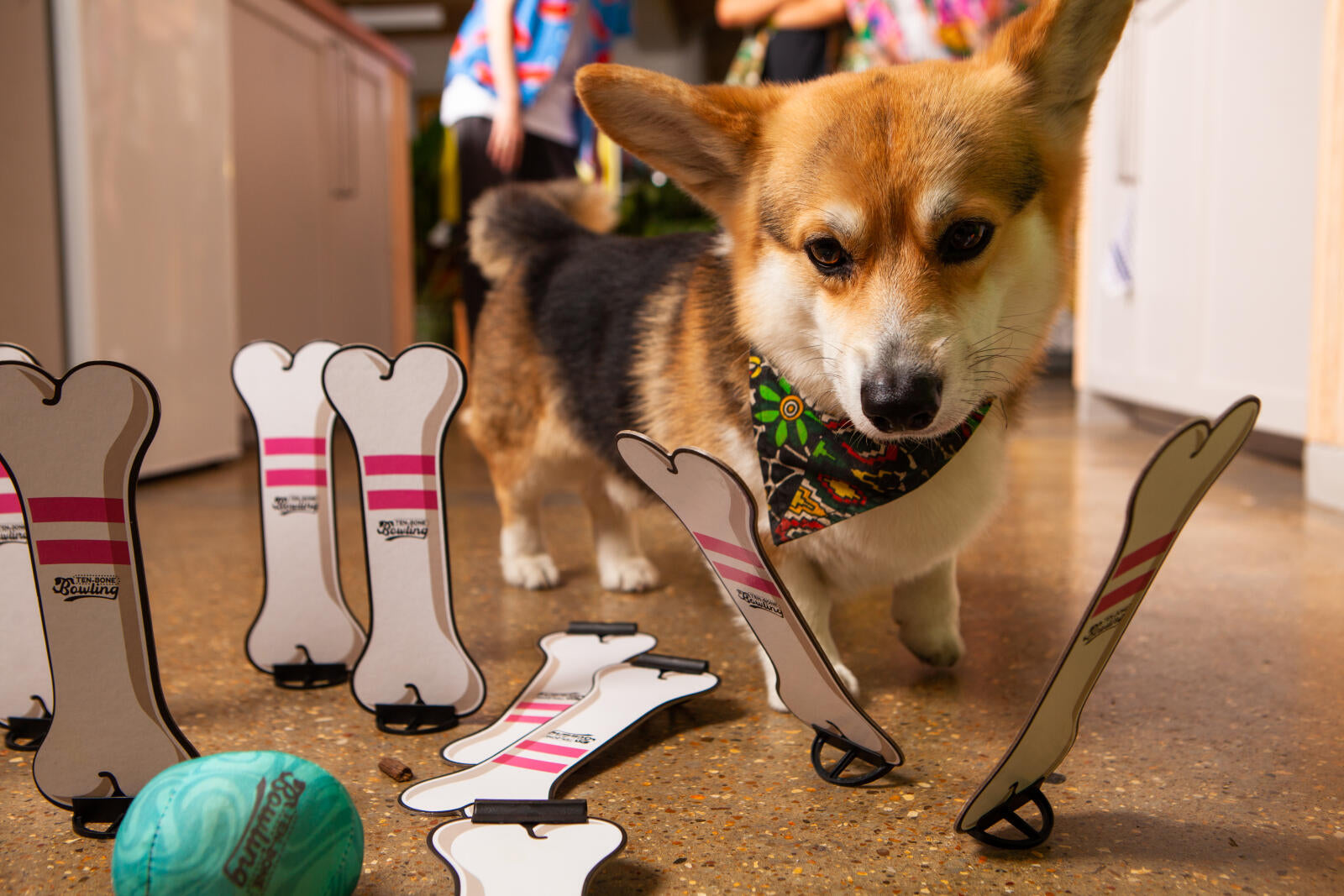 Ten Bone Bowling