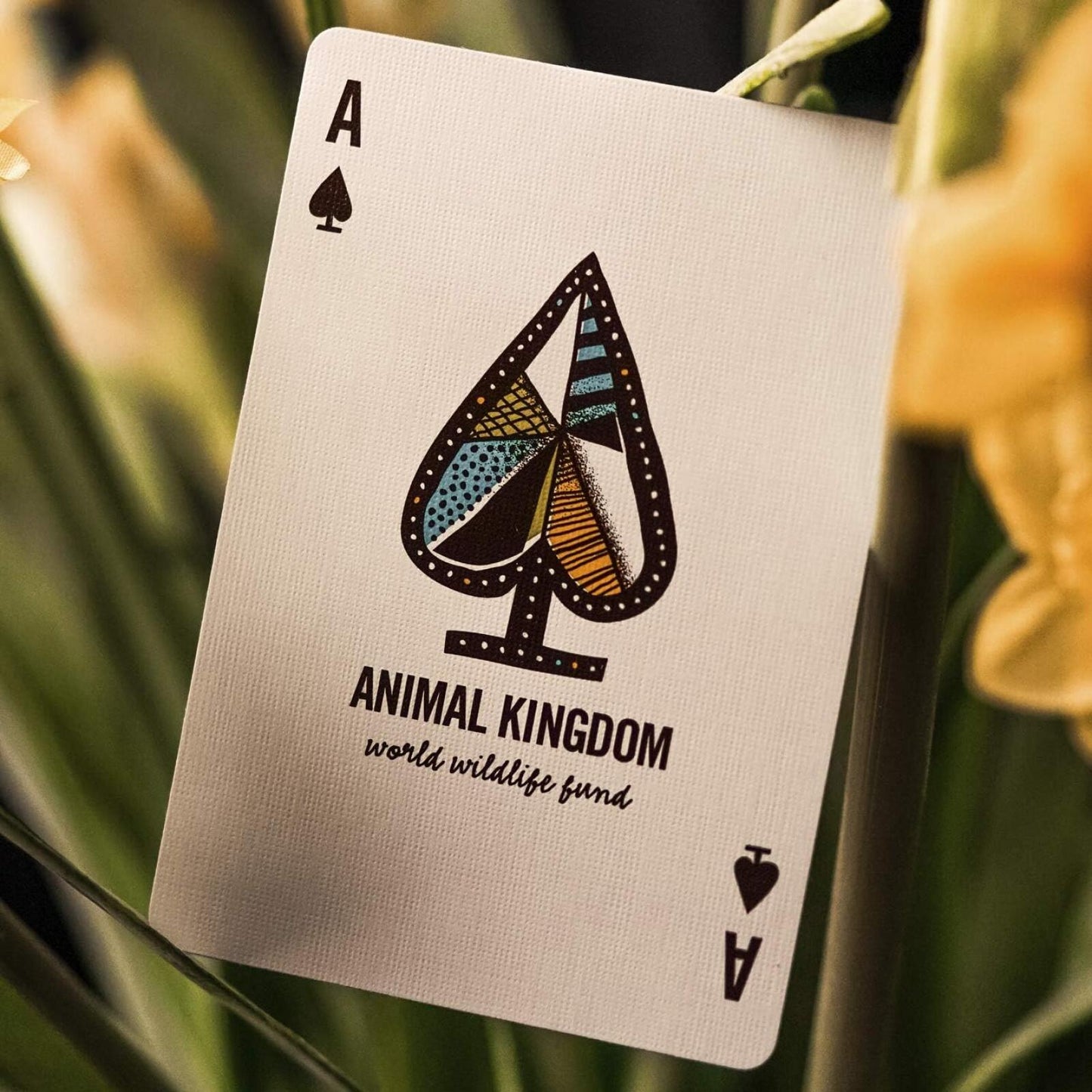 theory11 Animal Kingdom Playing Cards