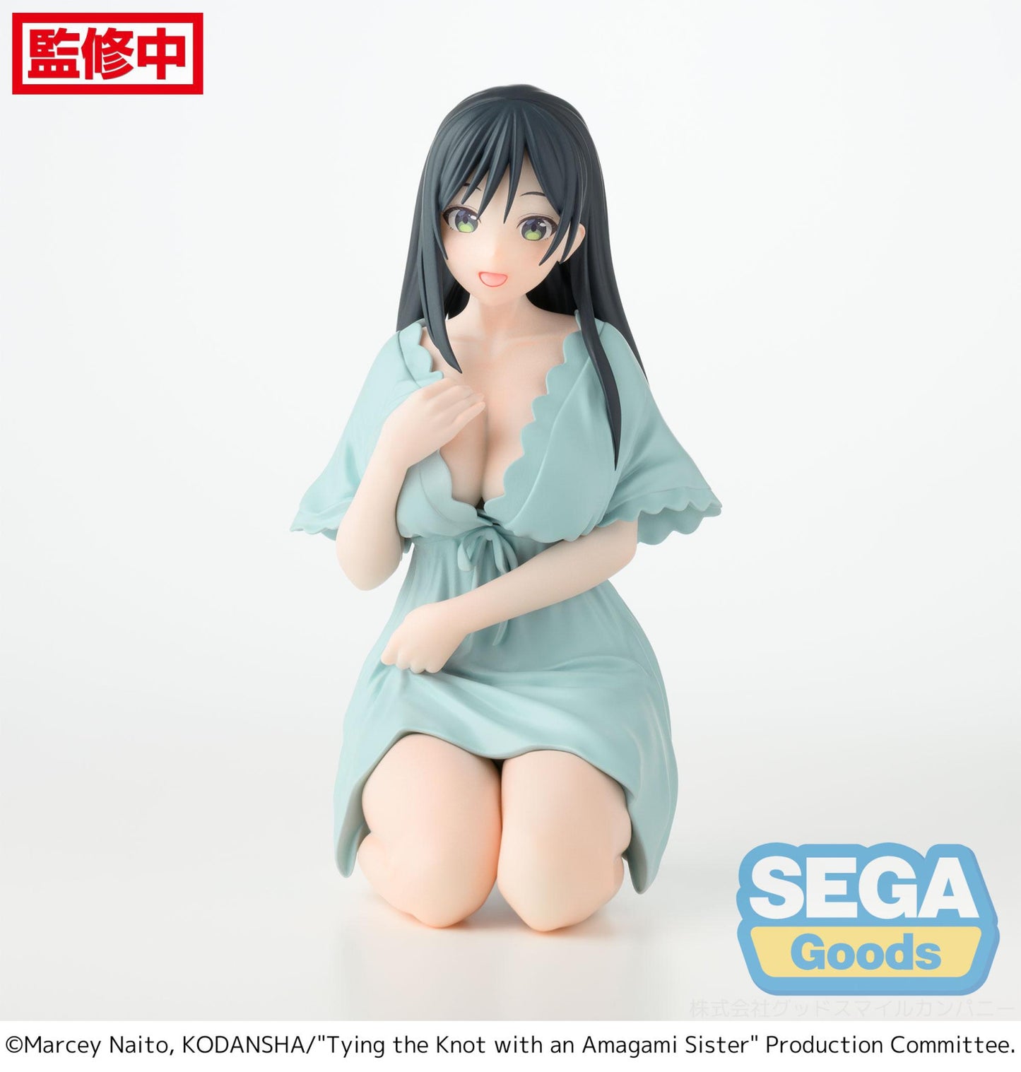 Tying the Knot with an Amagami Sister Yumemirize Yae Amagami