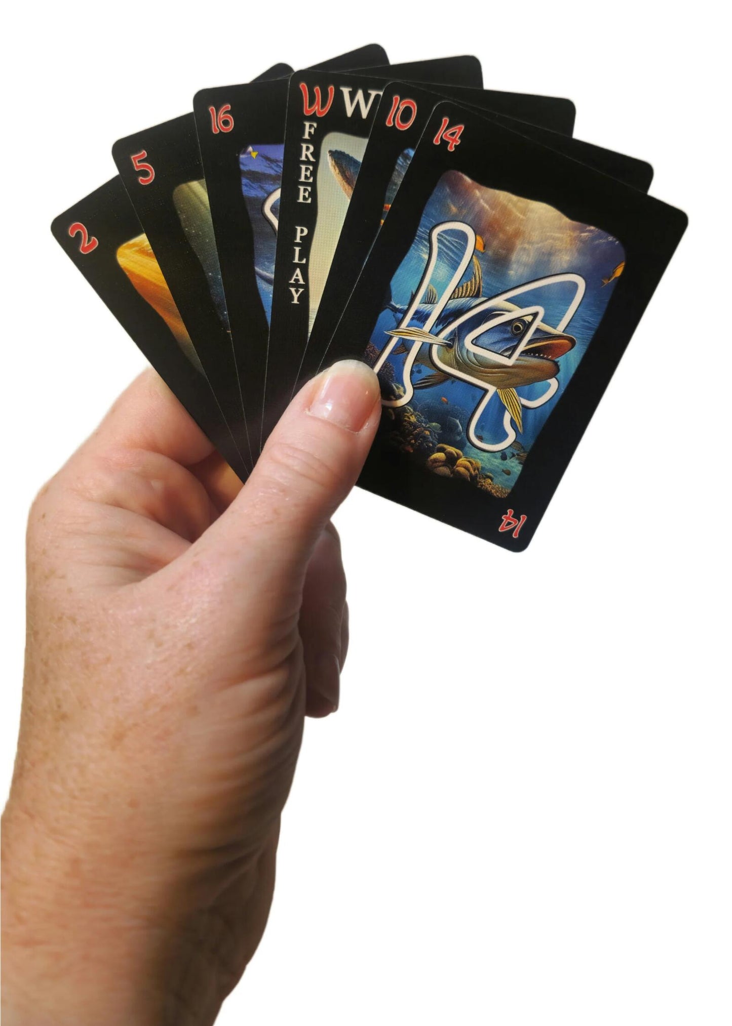 Veto Wild Waters