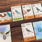 Wingspan Pocket