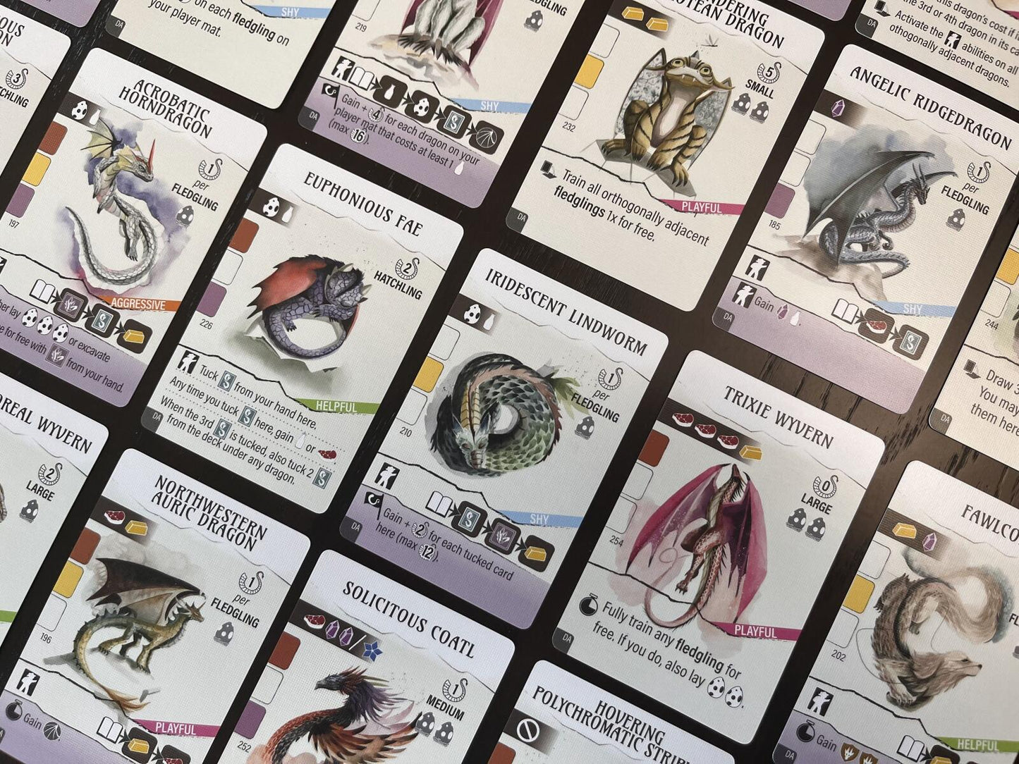 Wyrmspan Dragon Academy Expansion