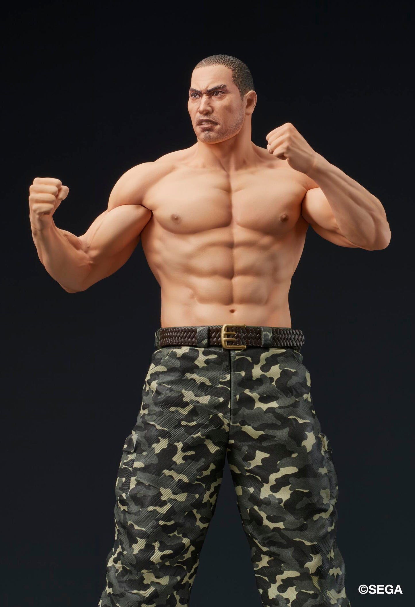 Yakuza DIGSTA Like a DragonTaiga Saejima-Battle Style