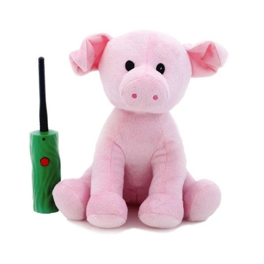 Hide & Seek Pals - Peaches the Pig