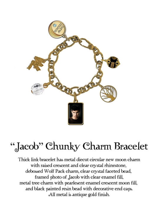 The Twilight Saga: New Moon - Jewellery Chunky Charm Bracelet Jacob - Ozzie Collectables